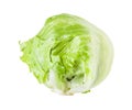 crisphead of iceberg lettuce isolated on white Royalty Free Stock Photo