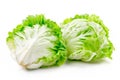 Crisphead, or iceberg lettuce isolated on white background. Fresh green salad leaves from garden