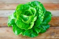 Crisphead, or iceberg lettuce isolated on white background. Fresh green salad leaves from garden