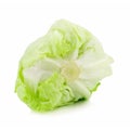 Crisphead lettuce isolated on the white background.