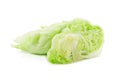 Crisphead lettuce isolated on the white background. Royalty Free Stock Photo