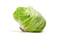 Crisphead lettuce, one whole head of iceberg lettuce, leafy green vegetable isolated on white background Royalty Free Stock Photo