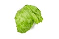 Crisphead lettuce, one whole head of iceberg lettuce, leafy green vegetable isolated on white background