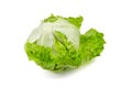 Crisphead lettuce, one whole head of iceberg lettuce, leafy green vegetable isolated on white background Royalty Free Stock Photo