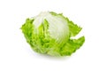 Crisphead lettuce, one whole head of iceberg lettuce, leafy green vegetable isolated on white background Royalty Free Stock Photo