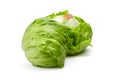 Crisphead lettuce, two whole heads of iceberg lettuce, leafy green vegetables isolated on white background