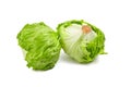 Crisphead lettuce, two whole heads of iceberg lettuce, leafy green vegetables isolated on white background Royalty Free Stock Photo