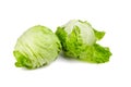 Crisphead lettuce, two whole heads of iceberg lettuce, leafy green vegetables isolated on white background Royalty Free Stock Photo