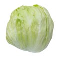 Crisphead lettuce vegetable isolated on white background with clipping path Royalty Free Stock Photo