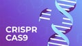 CRISPR CAS9. DNA gene editing tool, genes biotechnology and human genome engineering vector illustration Royalty Free Stock Photo