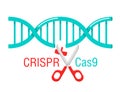 CRISPR Cas9 DNA spiral cutting