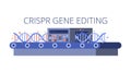 CRISPR gene editing concept vector illustration. Royalty Free Stock Photo