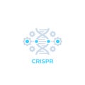CRISPR, genome editing icon, vector Royalty Free Stock Photo
