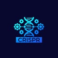 CRISPR, genome editing vector icon Royalty Free Stock Photo