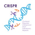 Crispr innovation and technology future banner Royalty Free Stock Photo