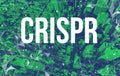 Crispr theme with abstract network patterns and Manhattan skyscrapers