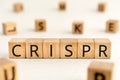 CRISPR - word from wooden blocks with letters Royalty Free Stock Photo