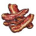 Crispy Bacon Strips Illustration Royalty Free Stock Photo
