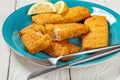 crispy baked battered pollock fillet on a plate