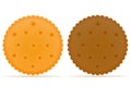 Crispy biscuit cookie vector illustration