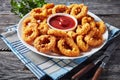 Crispy calamari rings on a white plate Royalty Free Stock Photo