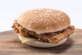 Crispy chicken burger with lettuce, cheese, and mayonnaise Royalty Free Stock Photo