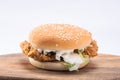 Crispy chicken burger with lettuce, cheese, and mayonnaise Royalty Free Stock Photo