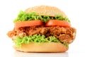 crispy chicken burger Royalty Free Stock Photo