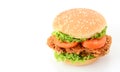 crispy chicken burger Royalty Free Stock Photo