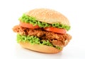 crispy chicken burger Royalty Free Stock Photo