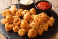 Crispy Chicken Popcorn with Tomato Ketchup and mayonnaise closeup in the slate dish. Horizontal