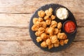 Crispy Chicken Popcorn with Tomato Ketchup and mayonnaise closeup in the slate dish. Horizontal top view