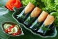 Crispy Chinese Traditional Spring rolls food Royalty Free Stock Photo