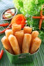 Crispy Chinese Traditional Spring rolls food Royalty Free Stock Photo