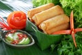 Crispy Chinese Traditional Spring rolls food Royalty Free Stock Photo
