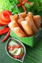 Crispy Chinese Traditional Spring rolls food Royalty Free Stock Photo