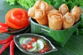 Crispy Chinese Traditional Spring rolls food Royalty Free Stock Photo