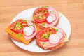 Crispy Cracker Sandwiches with Tomato, Sausage, Cheese, Green Onions and Radish Royalty Free Stock Photo