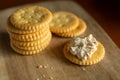 Crispy Crackers with Tuna Spread Royalty Free Stock Photo