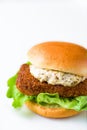 Crispy crunchy fish fillet sandwich