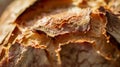 Crispy Crust: Macro Bread Texture Royalty Free Stock Photo