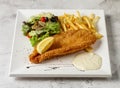 crispy fish and chips with tartar sauce, lime and salad served in dish isolated grey background top view singapore fast food Royalty Free Stock Photo
