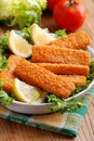 Crispy fish sticks Royalty Free Stock Photo