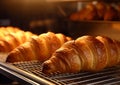 Crispy fresh croissants in bakery oven.Macro.AI Generative Royalty Free Stock Photo