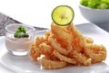 Crispy fried calamary Royalty Free Stock Photo