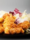 Crispy fried chicken Royalty Free Stock Photo