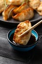 Crispy fried dumplings Gyoza with vegetables. Asian food.