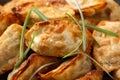 Crispy fried dumplings Gyoza with vegetables. Asian food.