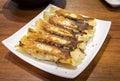 Crispy fried dumplings placed on restaurant`s table Royalty Free Stock Photo