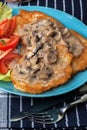 Crispy fried homemade potato pancakes with mushroom sauce Royalty Free Stock Photo